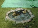 Rokkos private pool